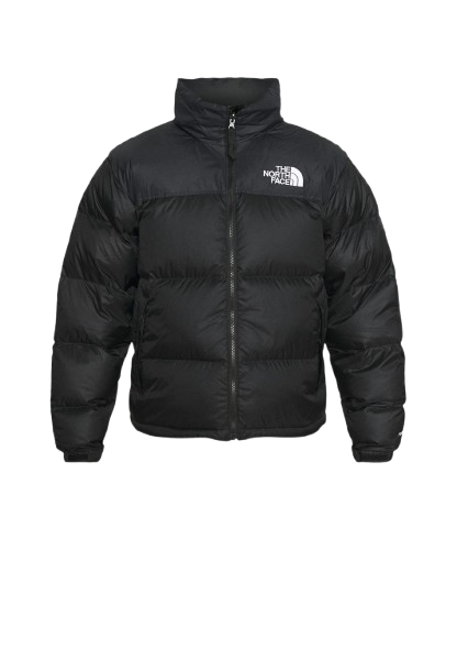 Jacket The Norte Facce